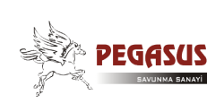 Pegasus